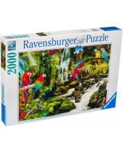 Пъзел Ravensburger от 2000 части - Папагали в джунглата -1