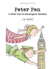 Peter Pan & Peter Pan in Kensington Gardens -1