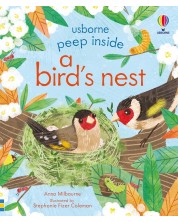 Peep Inside: A Bird's Nest -1