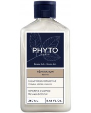 Phyto REPAIR, Възстановяващ шампон, 250ml -1