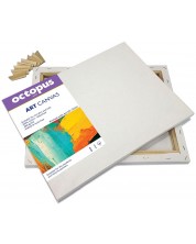 Платно за рисуване Univerzal - Octopus, 40 x 50 cm, с рамка -1