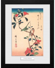 Плакат с рамка GB eye Art: Hiroshige - Japanese White-eye and Timouse -1