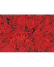 Подаръчна хартия Susy Card - Червени рози, 70 x 200 cm -1