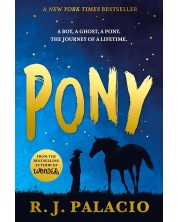 Pony -1