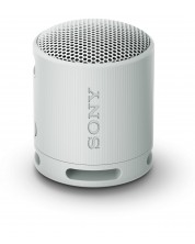 Портативна колонка Sony - SRS-XB100, сива -1