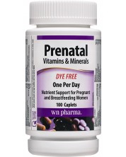 Prenatal Vitamins & Minerals, 100 каплети, Webber Naturals -1