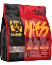 Mass, chocolate fudge brownie, 2.27 kg, Mutantf -1