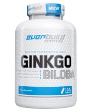 Pure Ginkgo Biloba, 60 mg, 120 капсули, Everbuild -1