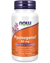 Pycnogenol, 50 капсули, Now -1