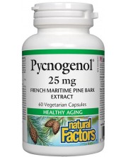Pycnogenol, 25 mg, 60 капсули, Natural Factors -1
