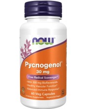 Pycnogenol, 60 капсули, Now -1