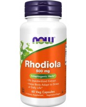Rhodiola, 500 mg, 60 капсули, Now -1