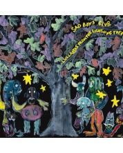 Sad Boys Club - Lullabies From The Lightning Tree (Vinyl) -1