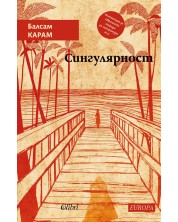 Сингулярност (Е-книга)