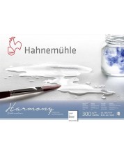 Скицник Hahnemuhle Harmony - A4, груба хартия, 12 листа -1