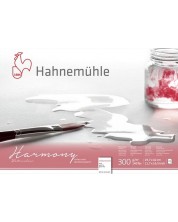 Скицник Hahnemuhle Harmony - А3, студено пресована хартия, 12 листа -1