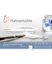 Скицник Hahnemuhle Harmony - A3, груба хартия, 12 листа -1