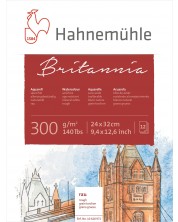 Скицник Hahnemuhle Britania - 24 x 32 cm, груба хартия, 12 листа -1