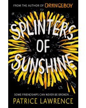 Splinters of Sunshine