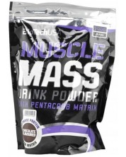 Muscle Mass, шоколад, 1000 g, BioTech USA -1