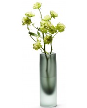 Стъклена ваза Philippi - Nobis, 20 cm -1