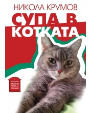 Супа в котката (Е-книга)