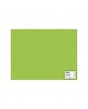 Картон APLI - Светлозелен, 50 х 65 cm -1