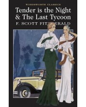 Tender is the Night and The Last Tycoon -1