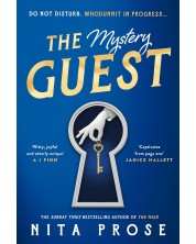 The Mystery Guest (Molly the Maid 2)