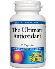The Ultimate Antioxidant, 60 капсули, Natural Factors -1