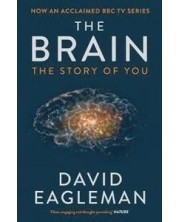 The Brain: The Story of You -1