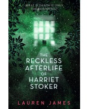 The Reckless Afterlife of Harriet Stoker -1