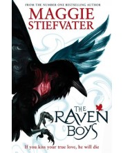 The Raven Cycle #1: The Raven Boys -1