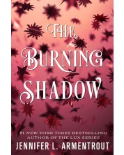 The Burning Shadow -1