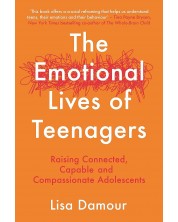 The Emotional Lives of Teenagers -1