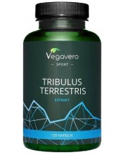 Tribulus Terrestris Еxtrakt, 120 капсули, Vegavero -1