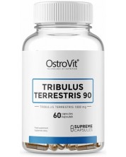 Tribulus Terrestris 90, 1000 mg, 60 капсули, OstroVit -1