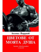 Цветове от моята душа (Е-книга)