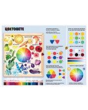 Цветовете: Учебно табло по изобразително изкуство за 3. клас. Учебна програма 2023/2024 (Рива) -1