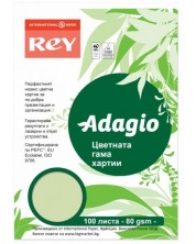 Цветна копирна хартия Rey Adagio - Bright Green, A4, 80 g, 100 листа
