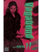 Vagabond, Vol. 11