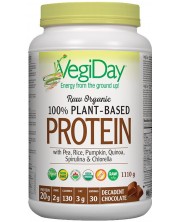 VegiDay 100% Plant-Based Protein, шоколад, 1110 g, Natural Factors