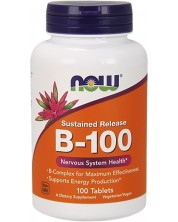 Vitamin B-100 Sustained Release, 100 таблетки, Now