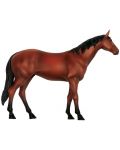 Сглобяем модел на кон Revell - Horse Anatomy Model (02099) - 2t