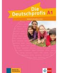 1 Die Deutschprofis A1 Testheft+audios online - 1t