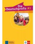 1 Die Deutschprofis A1 Medienpaket (2 audio CD) - 1t