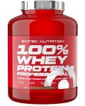 100% Whey Protein Professional, ягода, 2350 g, Scitec Nutrition - 1t