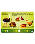 100 Puzzels About the Nature and the Numbers: Еducational Cards / 100 игри за природата и числата: Активни карти - 4t
