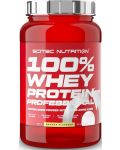 100% Whey Protein Professional, банан, 920 g, Scitec Nutrition - 1t