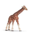 Фигурка Schleich от серията Дивия живот - Африка: Жираф - бебе - 1t
